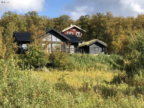 Mysigt modernt timmerhus