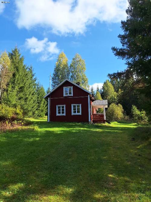 Sjönära torp i skogen