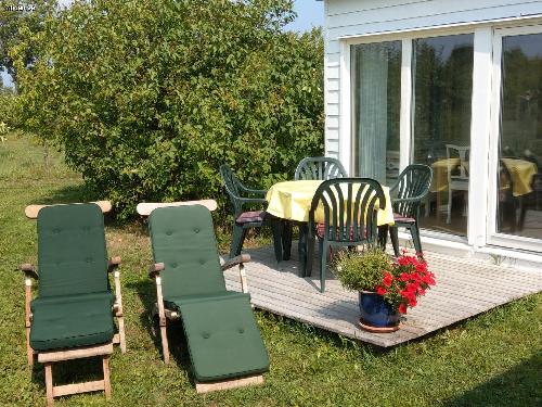 Lugn miljö mitt i äppelodling