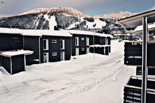 Hela sportlovet v. 8 i Åre